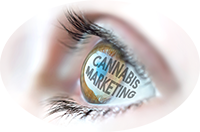 Cannabis Marketing Image